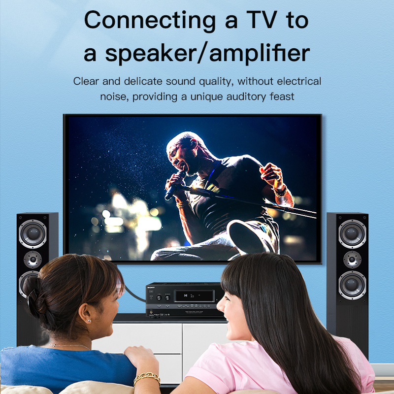 CHOSEAL RCAケーブル デジタル同軸オーディオケーブ - Home Cinema Furniture のレビューと価格